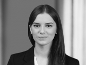 Zane Skļamina